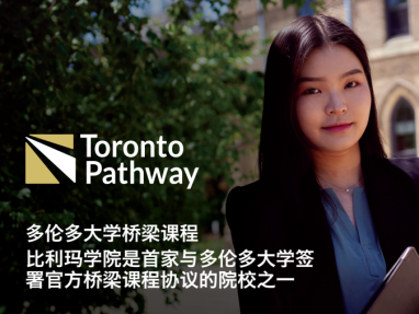 多伦多大学桥梁课程